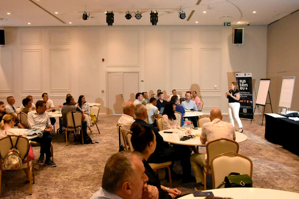 Identificiranje izazova i prilika u oblasti digitalne transformacije u sektorima zdravstva, energije i mobilnosti